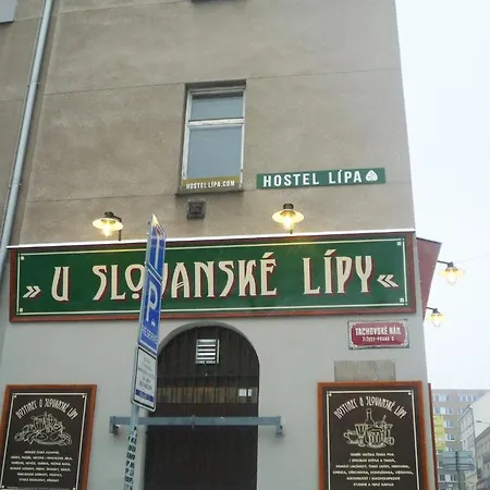 Lípa